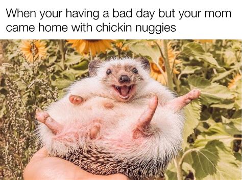 Thx mom for the chicken nuggs | /r/wholesomememes | Wholesome Memes ...