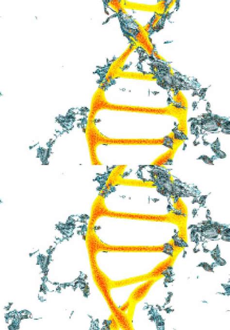 DNA Structure: Alphabet Soup for the Cellular Soul | IntechOpen