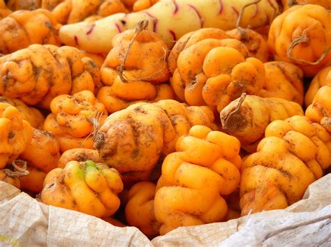 The fascinating history behind Peru's humble potato