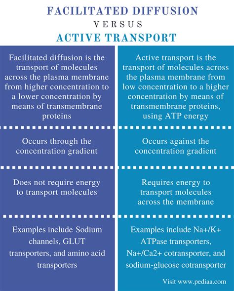 Difference Between Facilitated Diffusion and Active Transport – Pediaa.Com