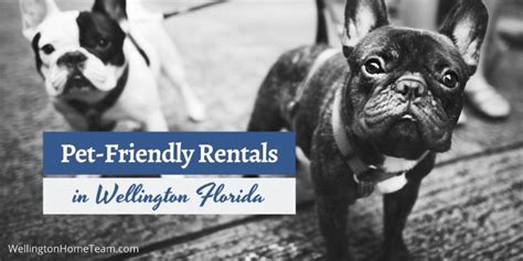 Pet-Friendly Rentals in Wellington Florida | Helpful Guide