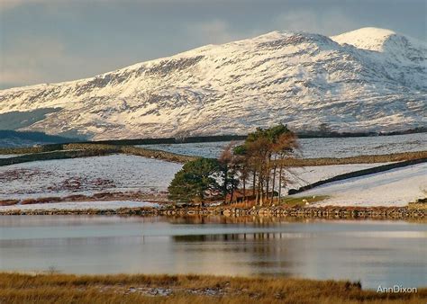 "Trawsfynydd Lake" by AnnDixon | Redbubble