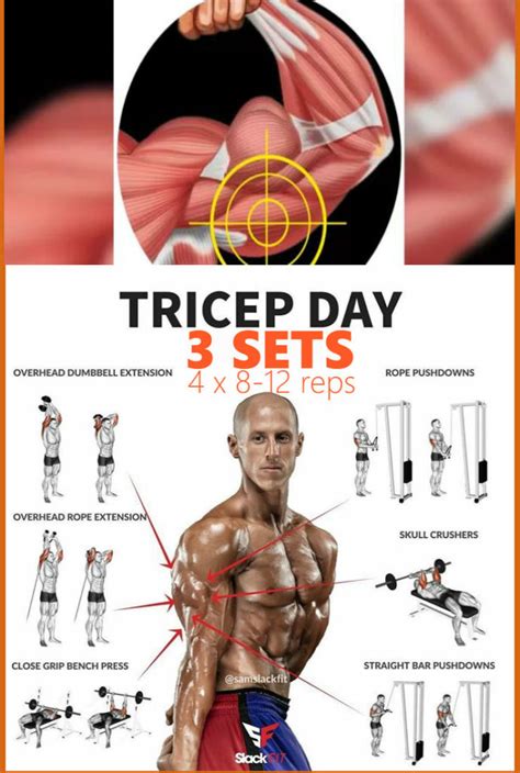 the-best-triceps-workout-of-all-time – Fitness Workouts & Exercises