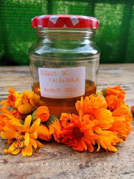 oleato y ungüento de calendula – REEVOLUTION ONLINE