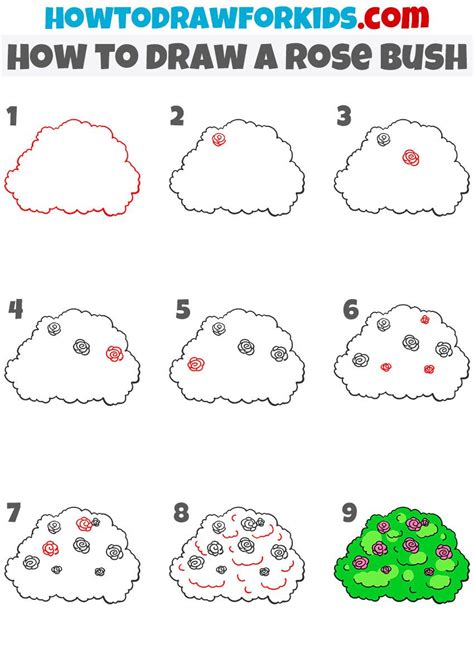 How to draw a Rose Bush step by step | Roses drawing, Bush drawing ...