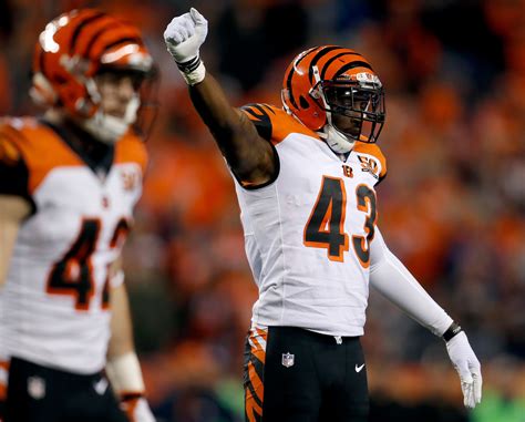 Bengals give themselves hope for a late-season push – Ruth