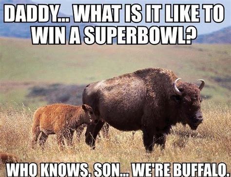 The 25 Funniest Buffalo Bills Memes, Ranked