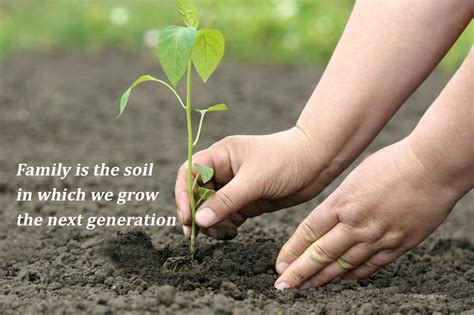 Quotes About Soil. QuotesGram