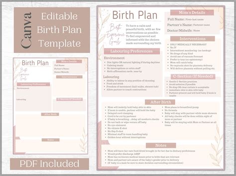 Editable Birth Plan Template Printable Birthing Plan Etsy France | The Best Porn Website