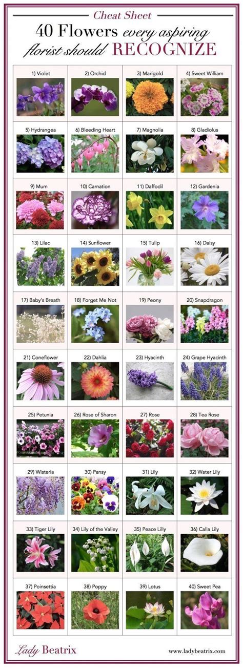 - Modern Design in 2020 | Flower chart, Flower types chart, Flower ...