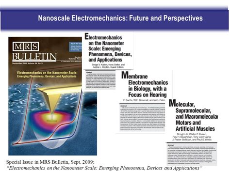 1 Novel biopiezoelectric materials for sensor/actuator applications Andrei Kholkin Center for ...