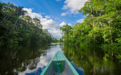 Découverte de la région Amazonie | Informations tourtistiques | Terra Peru