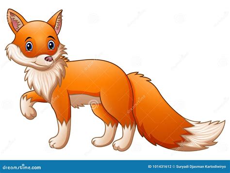 Cute Fox Cartoon Vector Illustration | CartoonDealer.com #101431612