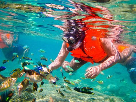 3 Gili Islands Lombok Snorkeling Tour with Private Boat - Wandernesia