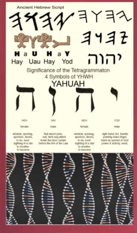 Tetragrammaton or Tetrahelix: Is the Name of G-d Encoded in Our DNA? (🧵) YHWH is a ...