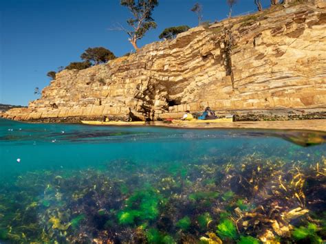 Hobart's Cliffs, Caves and Beaches - Tailored Tasmania Reservations