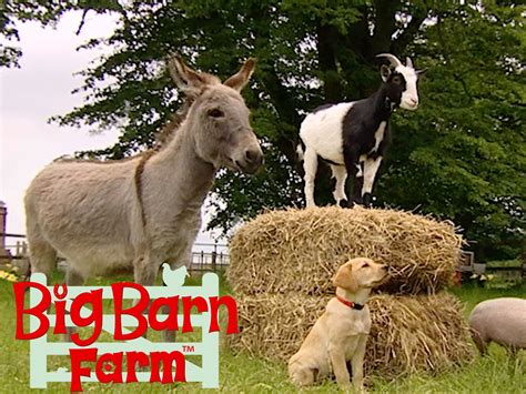 Prime Video: Big Barn Farm