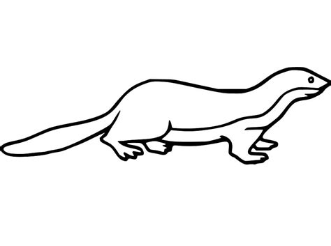 Simple Weasel Coloring Pages - Coloring Cool