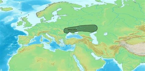 The Kurgan hypothesis is the most widely accepted proposal to identify the Proto-Indo-European ...