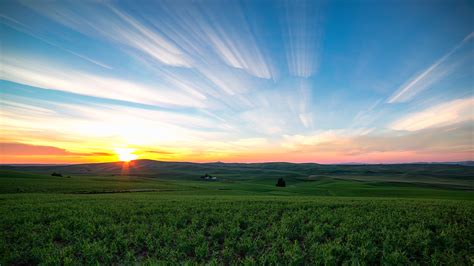 Green grass field under sunrise photo HD wallpaper | Wallpaper Flare