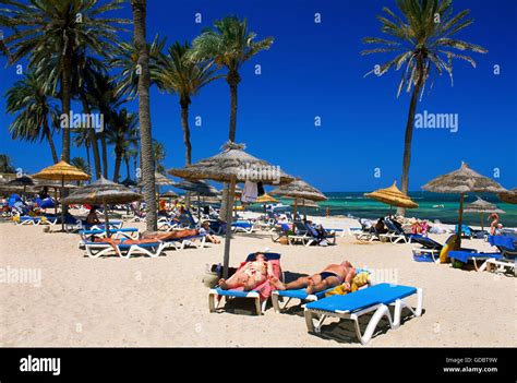 Beach in the Oasis Zarzis, Djerba Island, Tunisia Stock Photo - Alamy