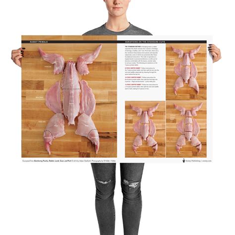 Rabbit Cuts & Primals Wall Poster — Adam Danforth - Butcher & Educator