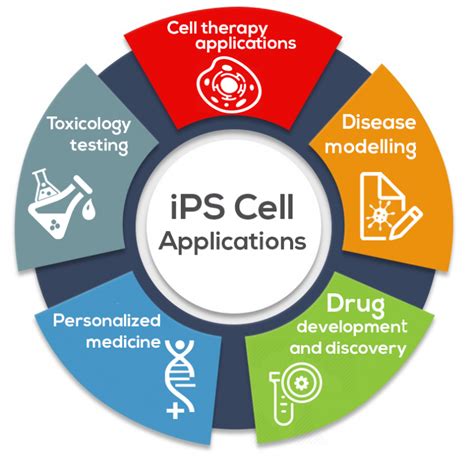 Global Induced Pluripotent Stem Cell (iPS Cell) Industry Report