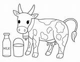 Printable Cow And Milk Coloring Page  coloring Pages Colour sketch template