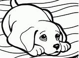 Cute Baby Weiner Dog Coloring Pages sketch template