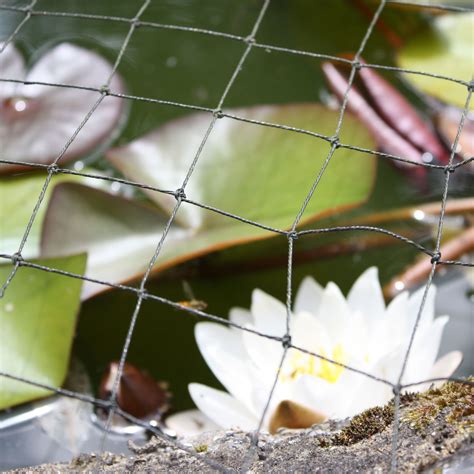 Pond Netting - Harrod Horticultural (UK)