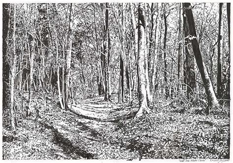 Landscape drawing: forest near Chorin monastery