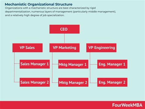 Estructura Organizacional Mecanicista - FourWeekMBA