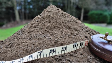 Planting Loam Soil | Sevenoaks, Kent & Bromley | Chargrace Soils