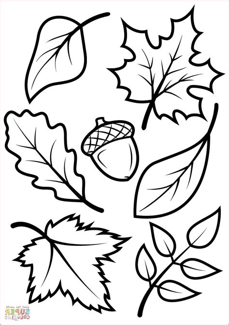 Fall Leaves Coloring Pages Printable - Printable Word Searches