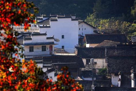 Autumn scenery of Wuyuan county, Jiangxi Province