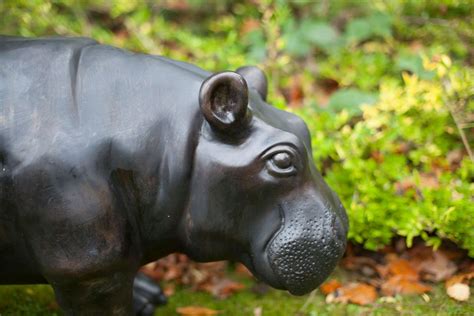 Hippopotamus Statue - Bronze baby hippo garden sculpture ornament