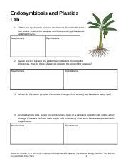 Endosymbiosis and Plastids Lab 1 .docx - Endosymbiosis and Plastids Lab 1. Obtain one ripe ...