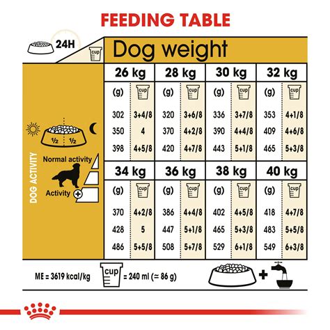 royal canin golden retriever puppy feeding chart - Reed Bradford