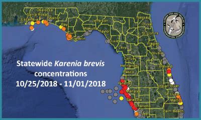 Red Tide Data Resources for Florida - SECOORA