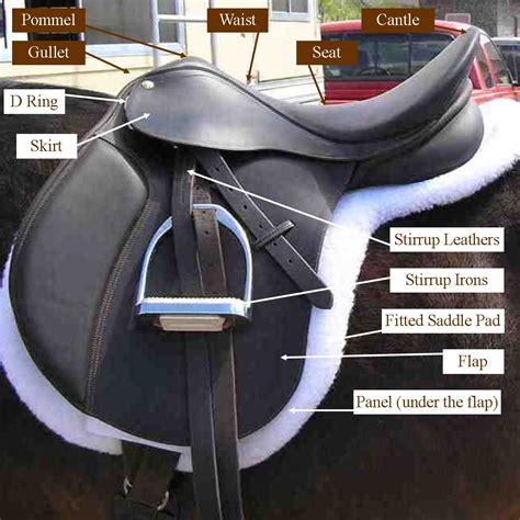 Parts of a Saddle, Horse Equipment