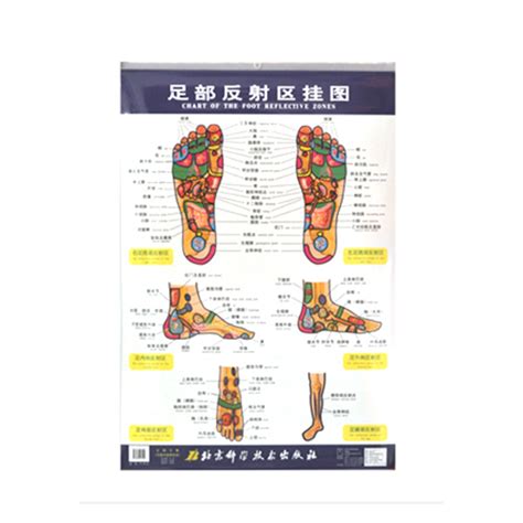 Foot Reflex Chart(Chinese) – KM Supplies