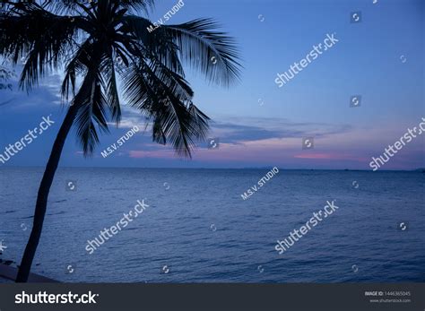 Pattaya Beach Sunset Sky Landscape Stock Photo 1446365045 | Shutterstock