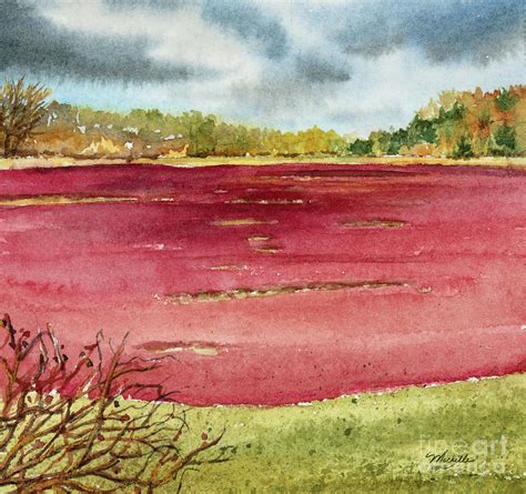 Cranberry Bog on Cape Cod Painting by Michelle Constantine | Pixels