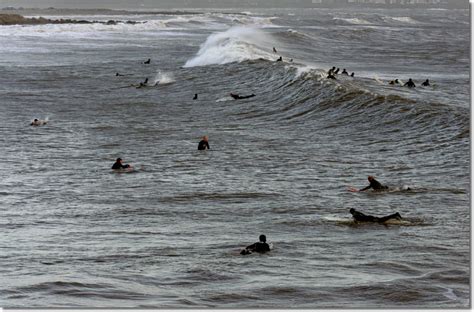 Trecco Bay Surf Photo by | 3:59 pm 9 Jan 2005