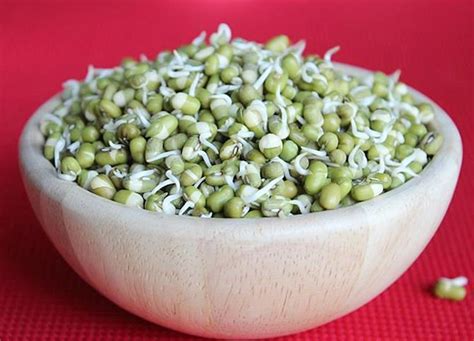 Mung bean sprouts | How to make sprouts | Green gram sprouts