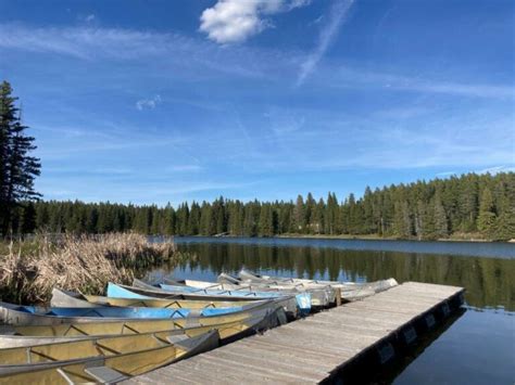 8 Great Cypress Hills Camping Options in Saskatchewan | Routinely Nomadic