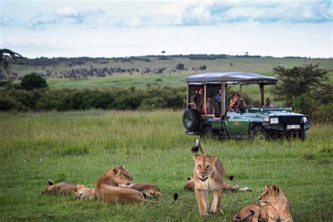 10 Best Masai Mara Safari Tours | Go2Africa