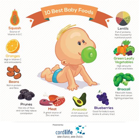 10 Best Baby Food | Baby food recipes, Organic baby food, Organic baby