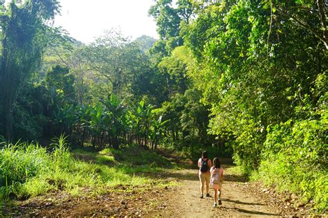 Salto Curet - An Off-The-Beaten-Path Waterfall Near Maricao