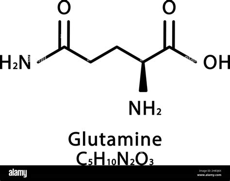 Glutamine molecular structure. Glutamine skeletal chemical formula ...